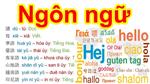 Đăng ký học Cao đẳng tiếng Trung Quốc ở đâu?