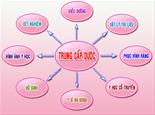 Trường Trung cấp Dược miễn giảm 100% học phí khi học Y học Cổ truyền
